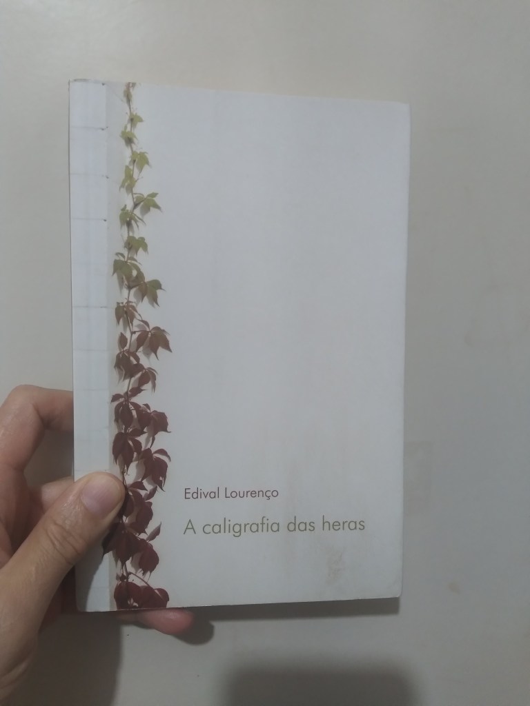 A CALIGRAFIA DAS&nbsp;HERAS